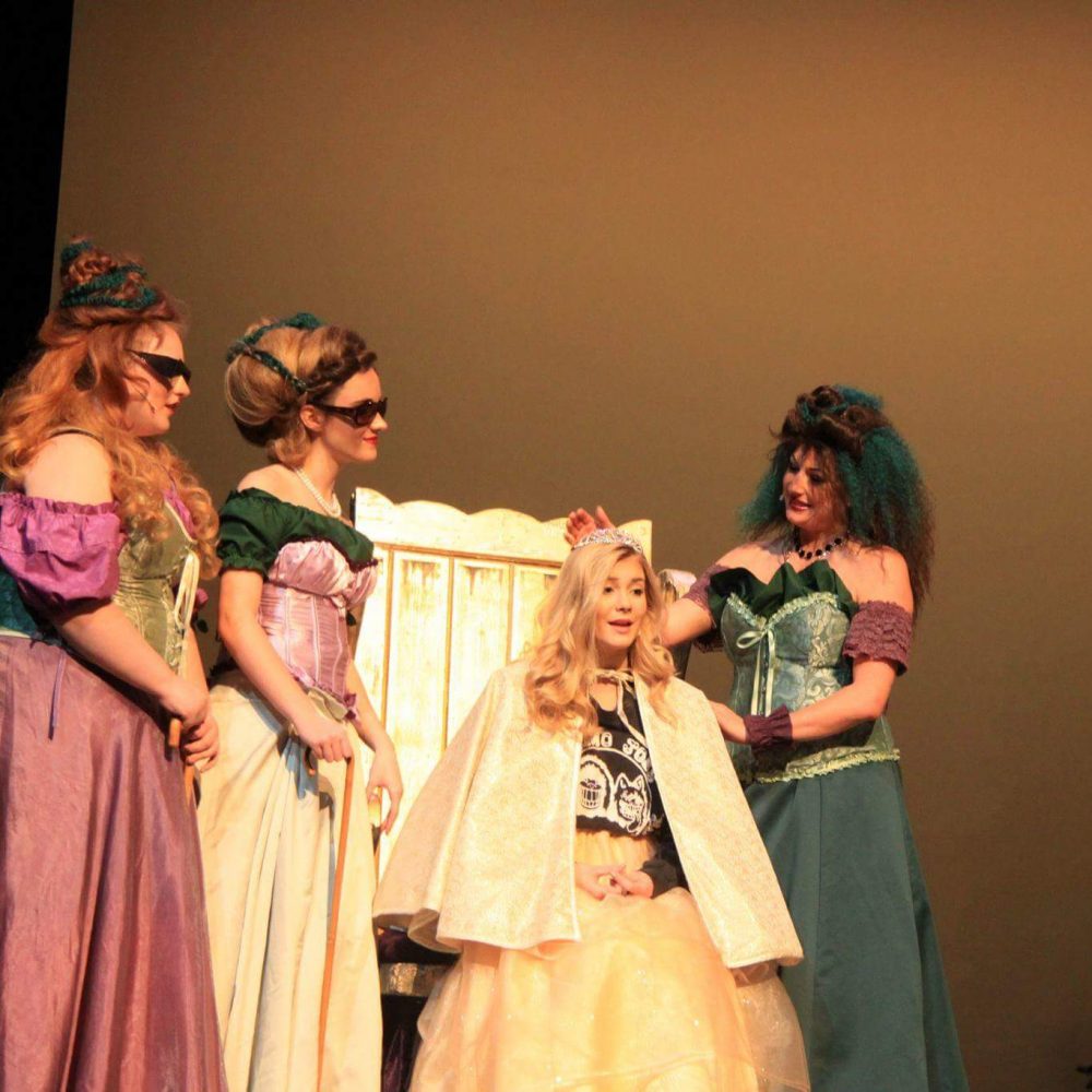DMS students to perform in DLTs Into the Woods