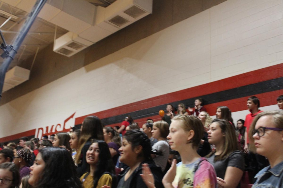 DMS students take part in pep rally festivities today.