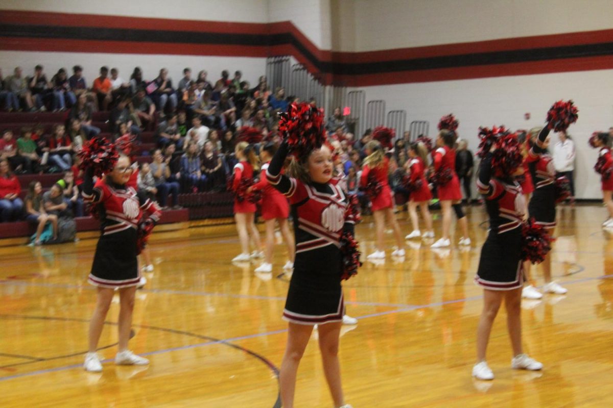 DMS cheerleaders lead the crowd during todays pep rally.