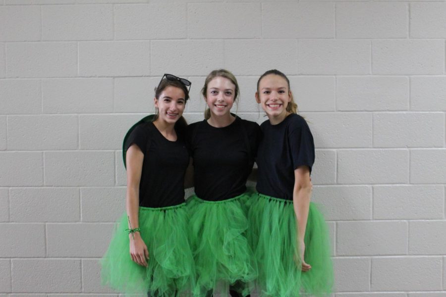 A group of eighth grade students ( right to left ) Gena Parker, Mckenna Scott, and Jaycie Meadows are twinning as turtles today.  many students are twinning today and showing school spirit.