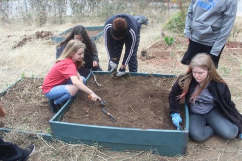 Duncan Middle School seventh-graders work in a flower bed in the school garden.