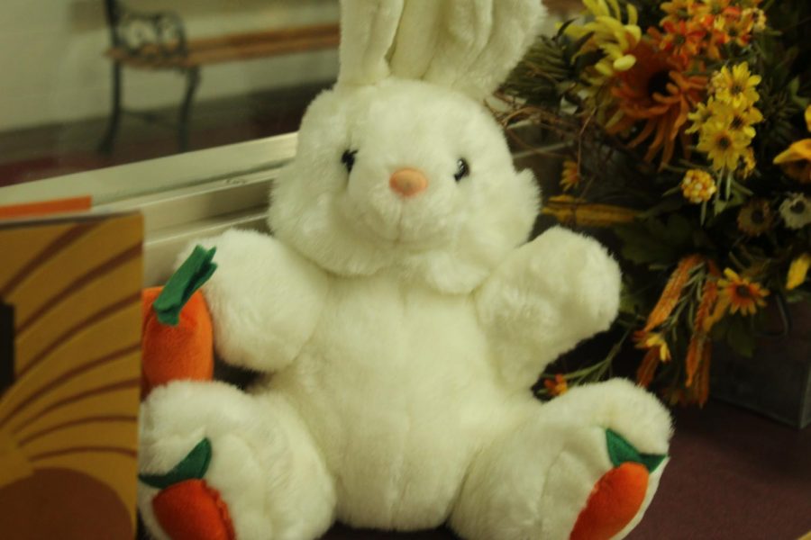 A stuffed bunny adds some Easter flair to the DMS Library.