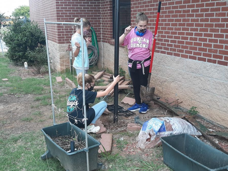 Sixth-grade students participate in the garden clean up with the Green Club.