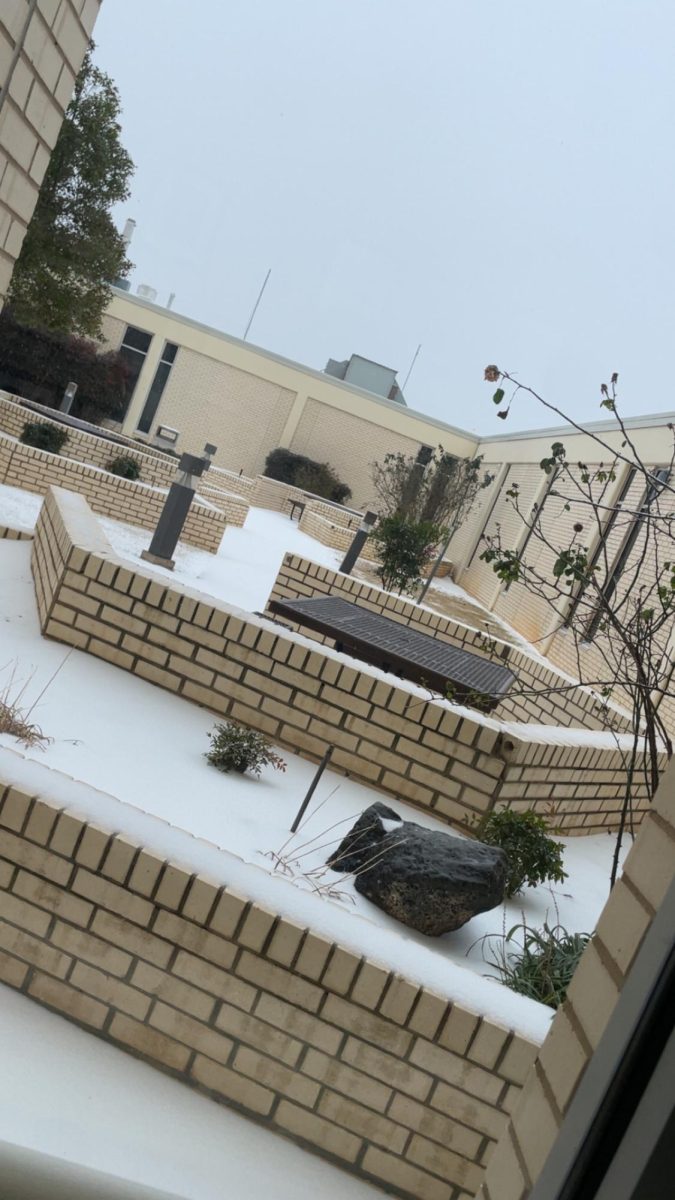 Snow fell on the evening of Jan. 23.