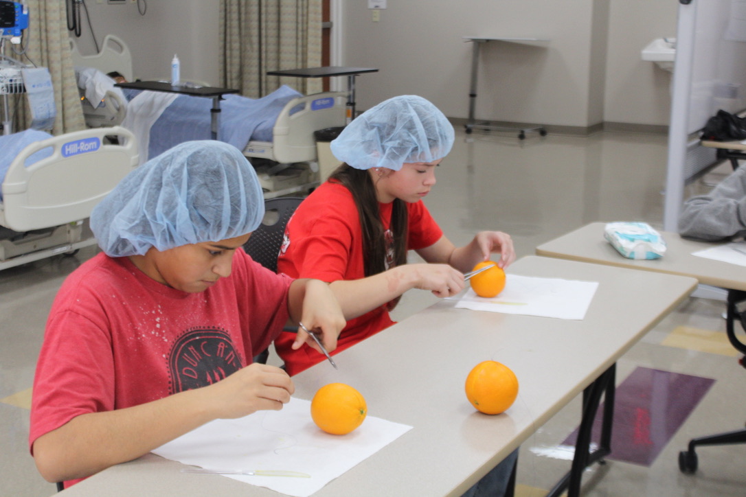 Students practice stitching by using an orange.